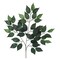 Artificial Green Ficus Spray 23 Inch – Faux Greenery Stem for Wreaths & Arrangements-FG505430